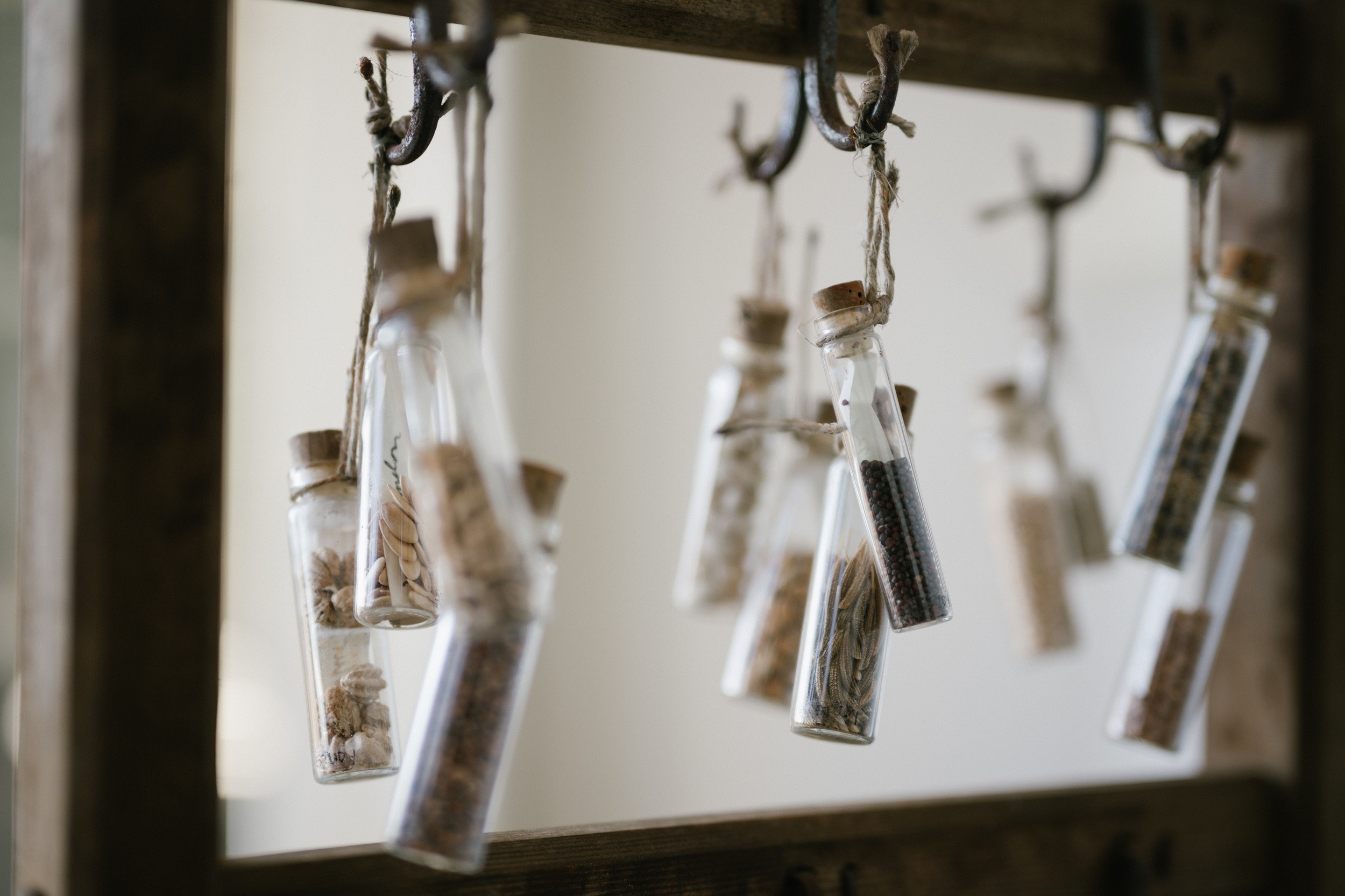 Seed vials hanging from a rack in the Monticello Greenhouse