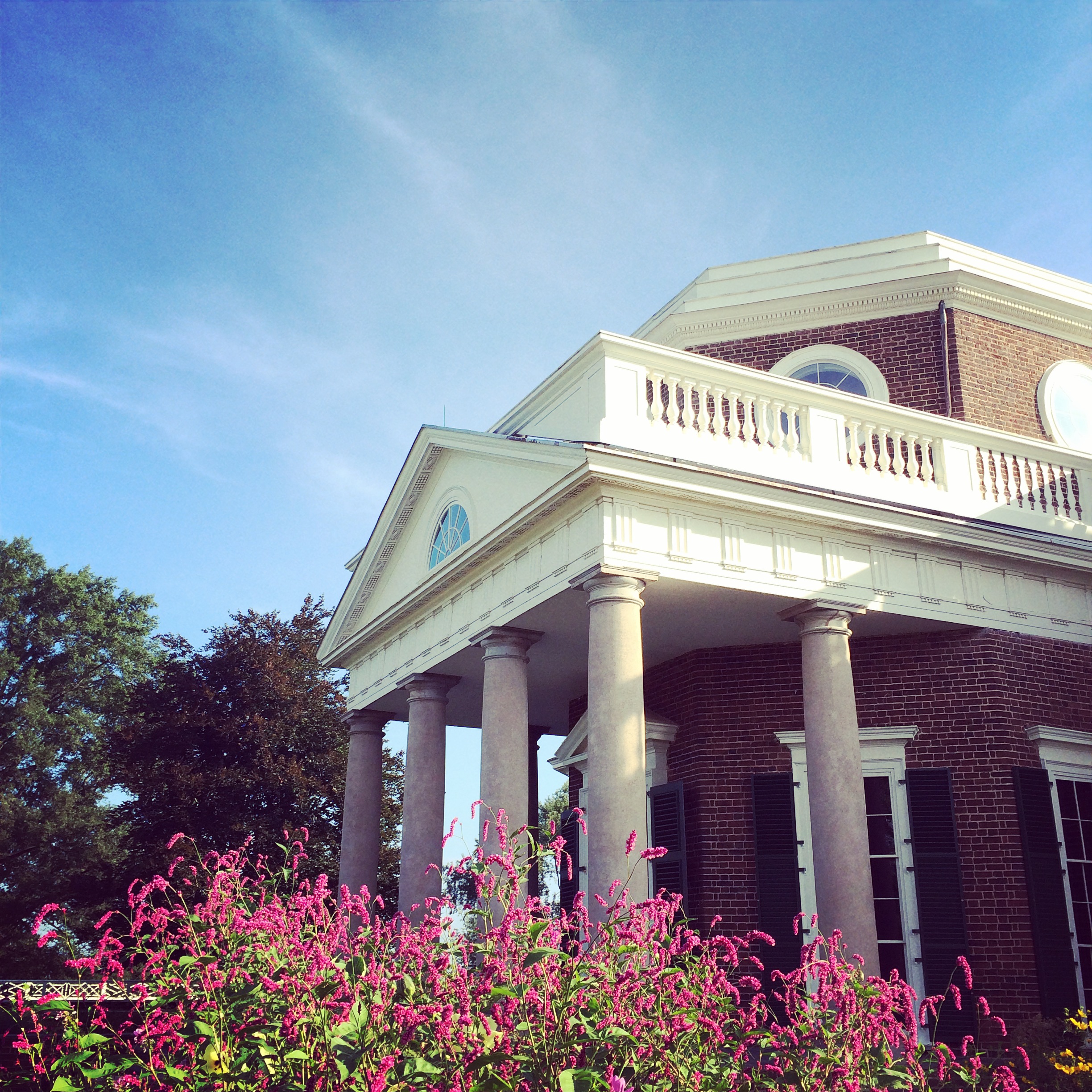 Angled view of Monticello's West Portico behind a bed of flowers with red blossom by Eleanor Gould