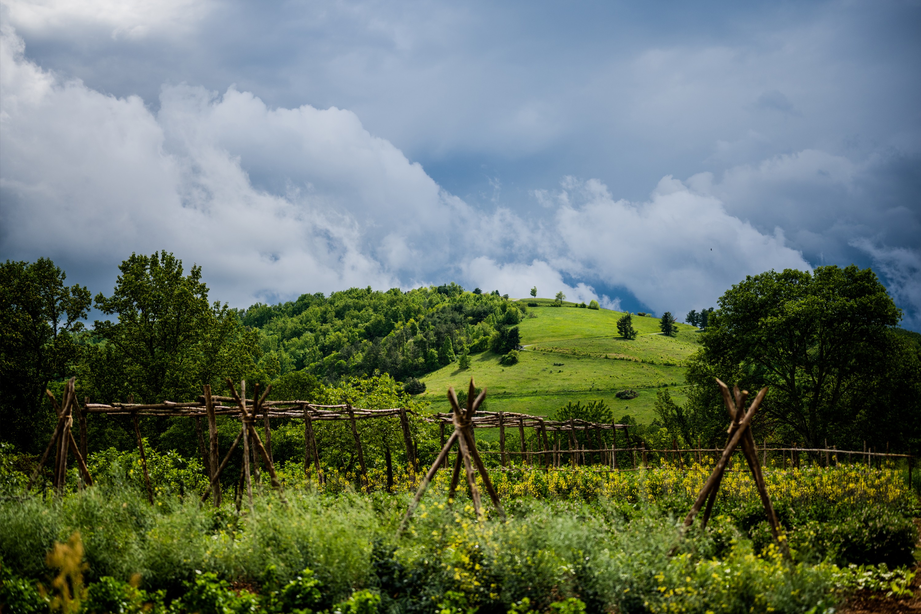 Monticello Vegetable Garden with Montalto in the distance