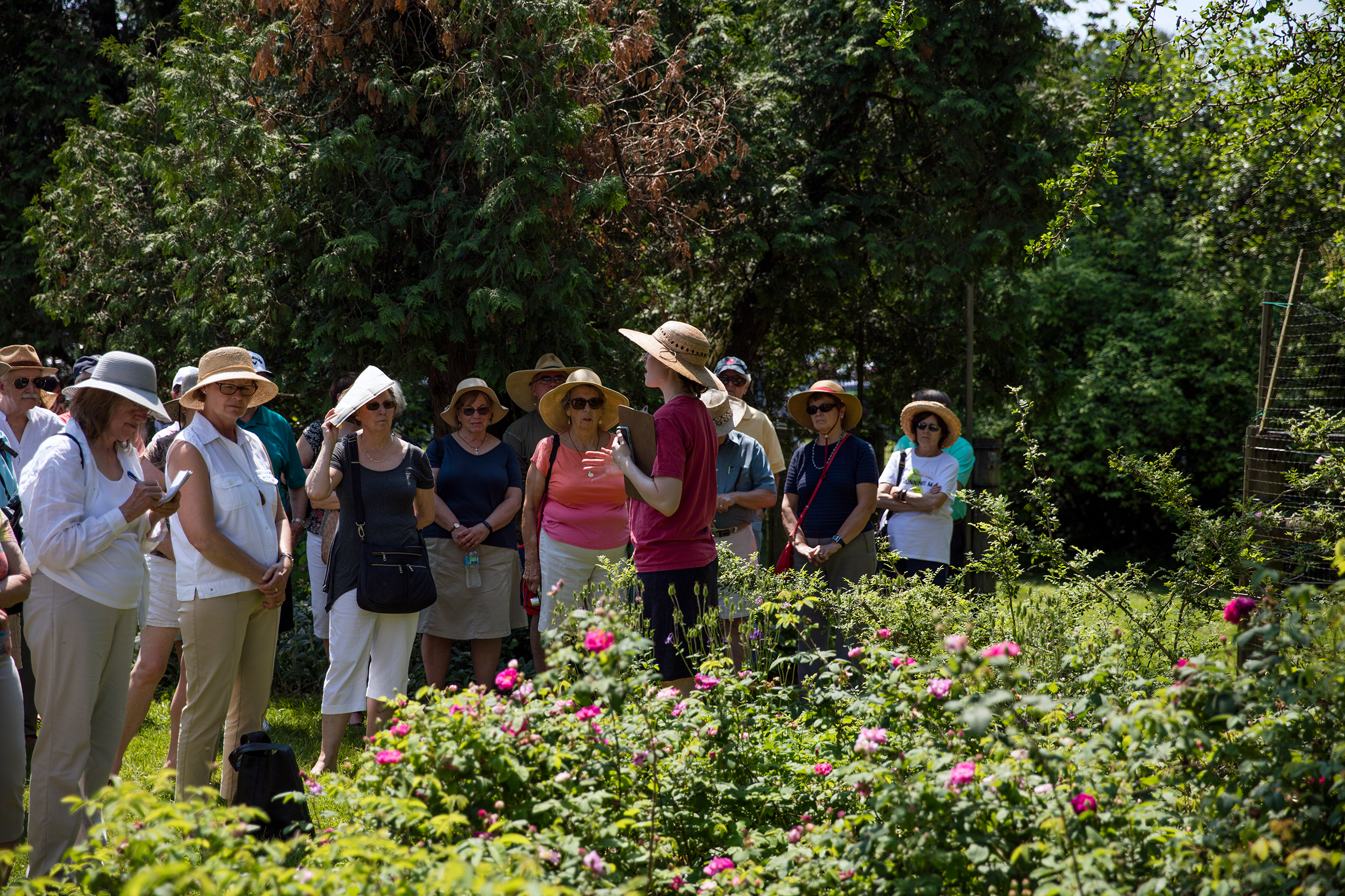 A woman in hat speaks to a group of a dozen people