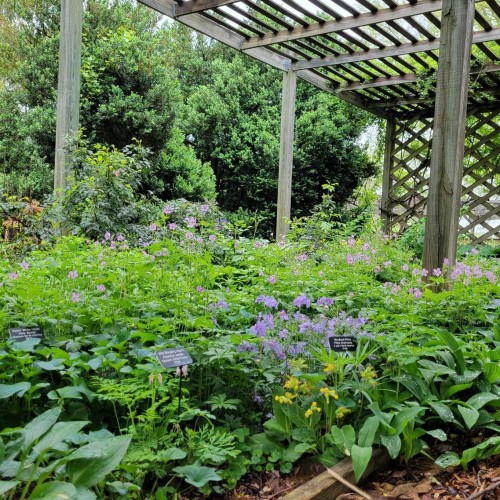 Plants available for sale at Monticello's Center for Historic Plants