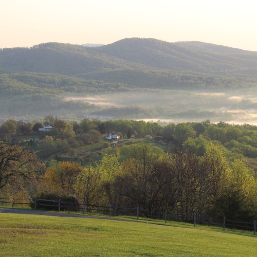 View from Montalto, looking west towards the Southwest Mountains and Blue Ridge