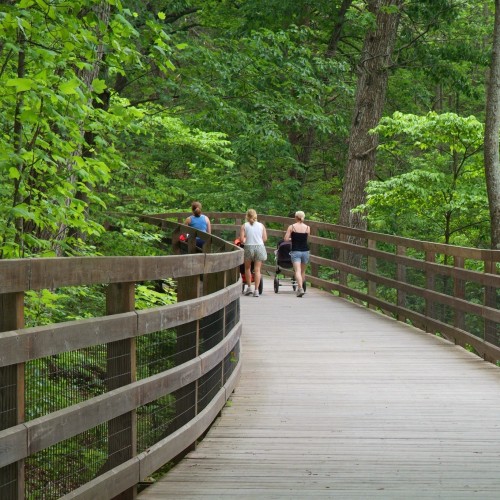 Phot of a wooden boardwalk above a ravine and surrounded by trees along the Saunders-Monticello Trail