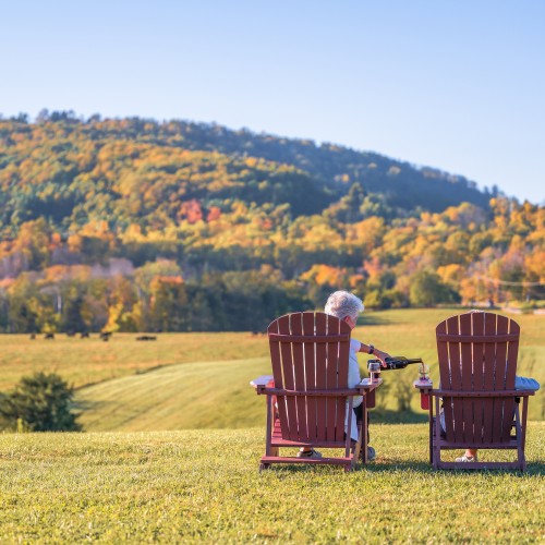 Enjoy a glass of wine in the foothills of the Blue Ridge mountains at Jefferson Vineyards