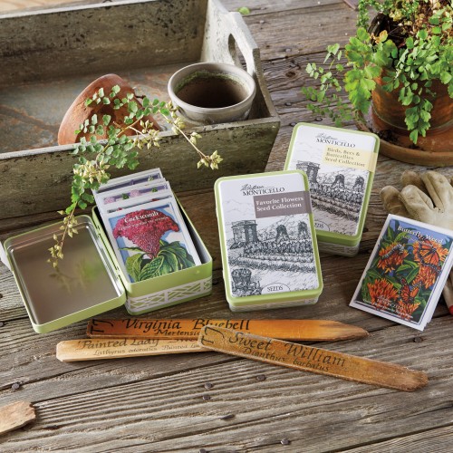 Seed packets arranged on a table with small potted plants and gardening gloves and stakes