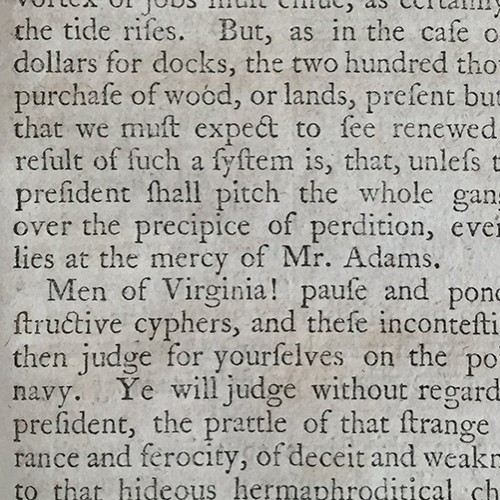 Detail from Callender's 'The Prospect Before Us'