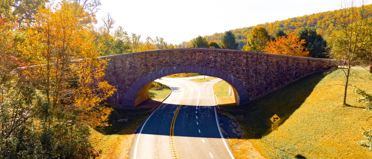 A stone bridge over a country road bathed in golden morning light