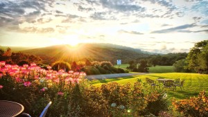 Enjoying a glass of wine with a mountain view at Jefferson Vineyards is a great way to complete your trip to Charlottesville or day at Monticello