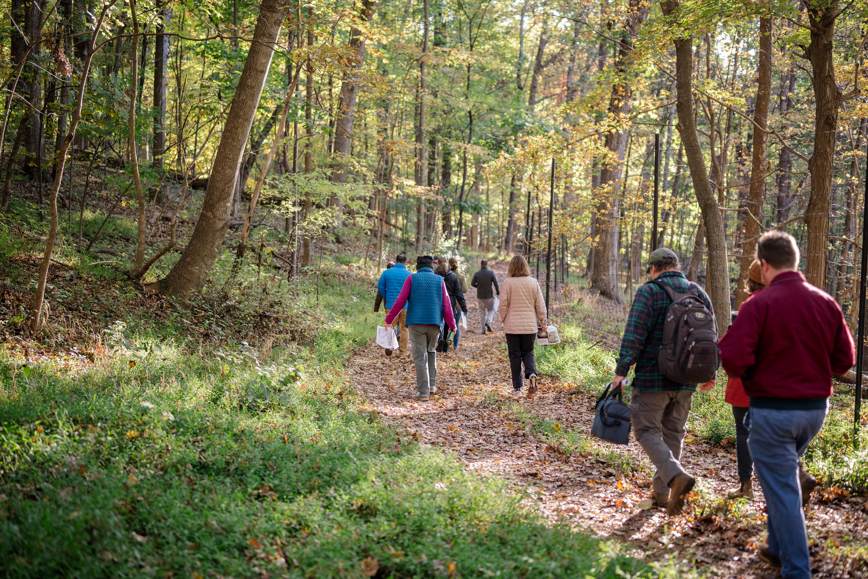 People walking on a historic road through the woods