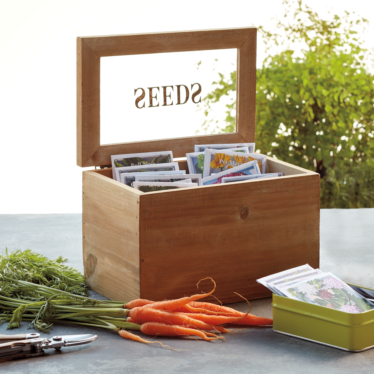 Seed box with packets of seeds, carrots, and garden shears on a table